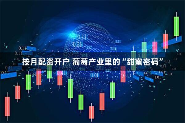 按月配资开户 葡萄产业里的“甜蜜密码”
