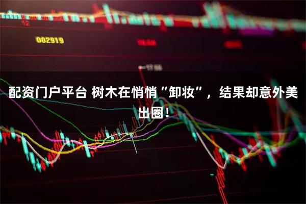 配资门户平台 树木在悄悄“卸妆”，结果却意外美出圈！